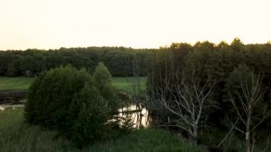 Hava bataklık arazi ve orman üzerinde filme