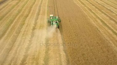 Hava manzaralı hasat aracı buğdayı gün batımında topluyor. Buğday tarlası, hasat mevsimi