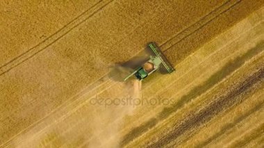 Üstten Görünüm Birleştir biçerdöver buğday günbatımında toplar. Tahıl alan hasat, sezon kırpma