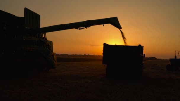 Silhouet van combine harvester giet uit tarwe in de truck bij zonsondergang. Het oogsten van graan veld, bijsnijden seizoen. — Stockvideo