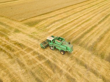 Üstten Görünüm Birleştir biçerdöver buğday günbatımında toplar. Harvesti
