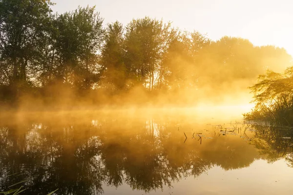 Ködös Hajnal a szép tavaszi folyón — Stock Fotó