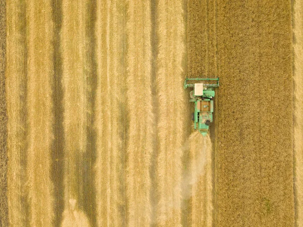 Pemandangan atas menggabungkan pemanen mengumpulkan gandum saat matahari terbenam. Harvesti — Stok Foto