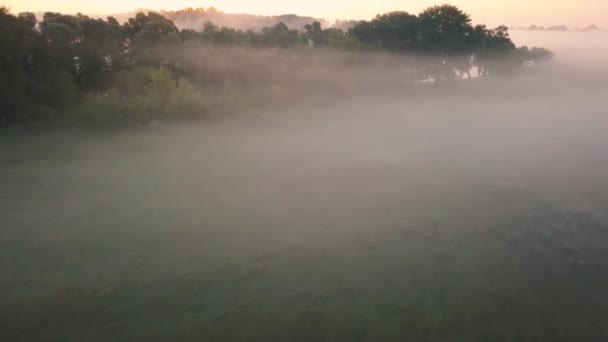 Mattina fitta nebbia sul fiume e prato. Volare sul paesaggio della nebbia — Video Stock