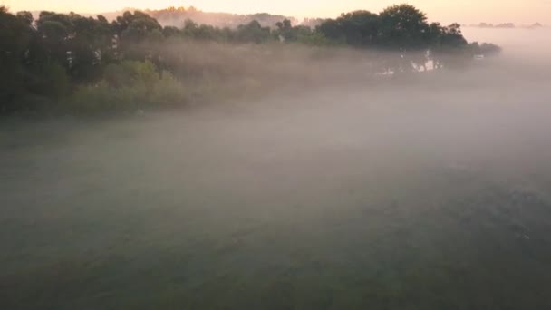 Brouillard matinal épais sur la rivière et la prairie. Survoler le paysage brumeux 