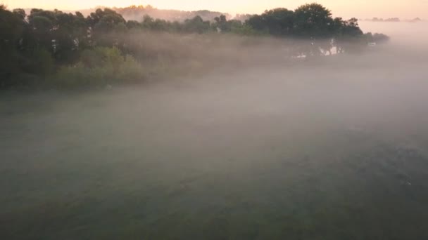 Dikke ochtend mist over de rivier en een weide. Vliegen over de nevel landschap — Stockvideo