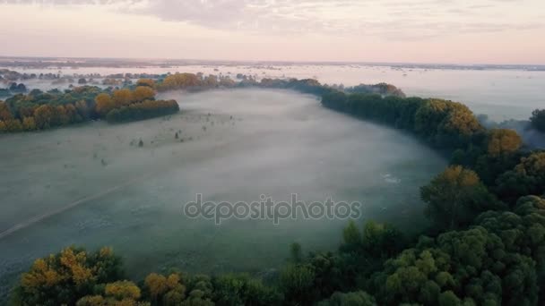 Dikke ochtend mist over de rivier en een weide. Vliegen over de nevel landschap — Stockvideo