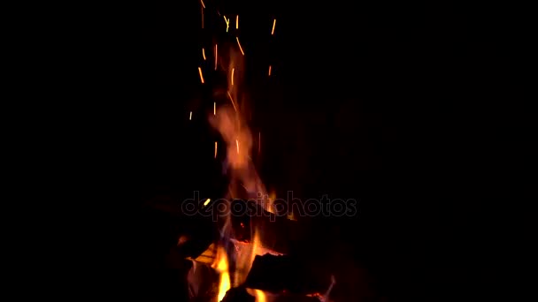 Fire burns at night in a tourist camp. Slow motion — Stock Video