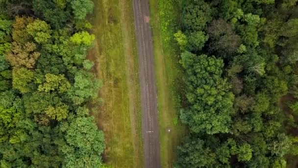 Flygning över en järnväg som omges av skog — Stockvideo