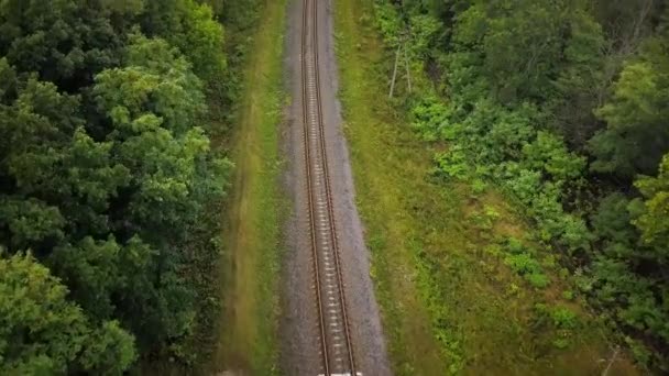 Flygning över en järnväg som omges av skog — Stockvideo