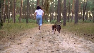 Gün batımında köpeğini ormana oynamaktan kız. Ağır çekim