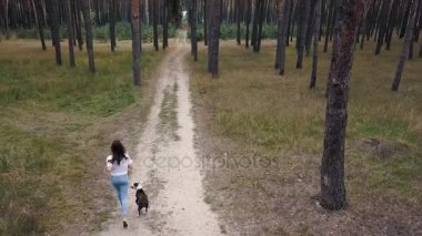 Gün batımında köpeğini ormana oynamaktan kızın havadan görünümü