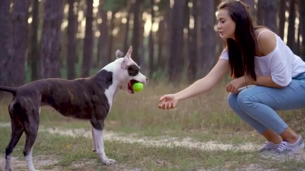 Menina brincando com seu cão na floresta ao pôr do sol — Vídeo de Stock