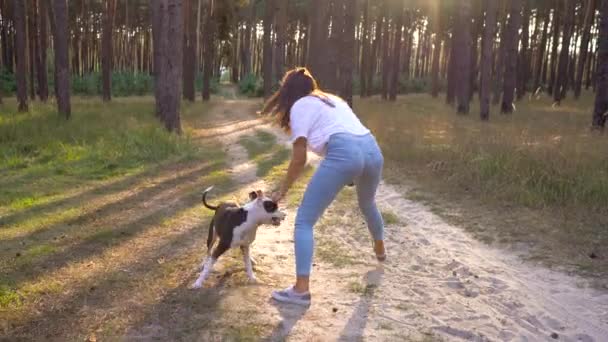 Meisje speelt met haar hond in het bos bij zonsondergang — Stockvideo