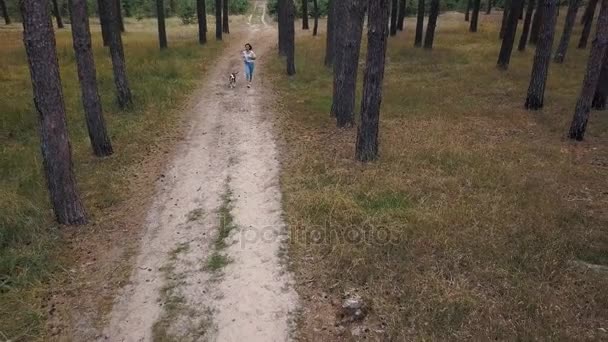 Veduta aerea della ragazza che gioca con il suo cane nella foresta al tramonto — Video Stock