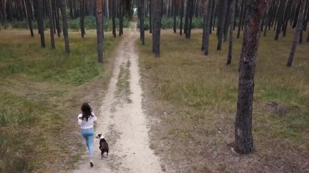 Αεροφωτογραφία του κορίτσι παίζει με το σκύλο της στο δάσος στο ηλιοβασίλεμα — Αρχείο Βίντεο