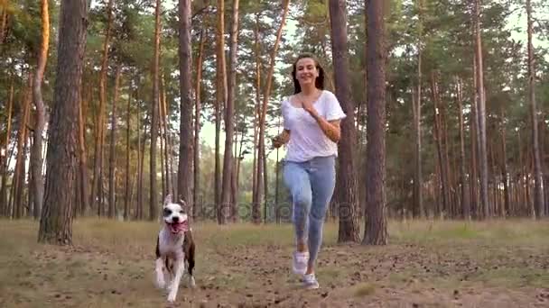 Mädchen spielt mit ihrem Hund im Wald bei Sonnenuntergang. Zeitlupe — Stockvideo