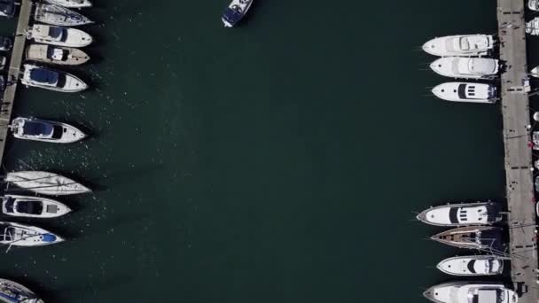Flygning över en docka med en massa yachter och båtar - skytte från en drone — Stockvideo