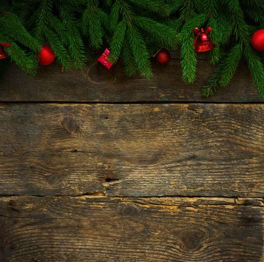 Noel ağacı dalları ile koni ve Noel süsleri 