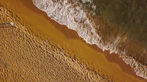 Kobieta lekkoatletycznego biegnącej wzdłuż plaży — Wideo stockowe