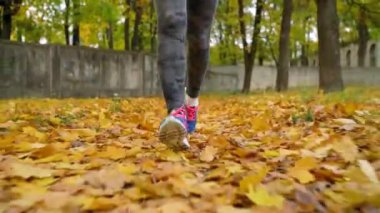 Bir sonbahar parktan günbatımında çalışan kadın bacak kapatın. Ağır çekim