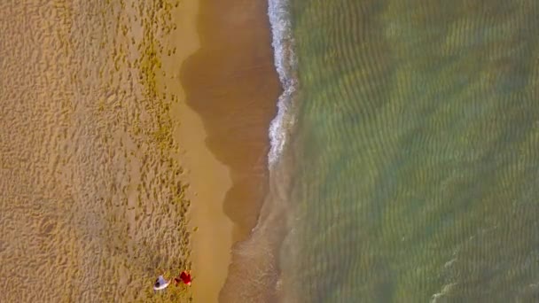 Vue aérienne d'un couple amoureux marchant sur la plage main dans la main 
