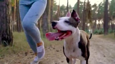 Gün batımında köpeğini ormana oynamaktan kız