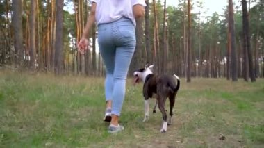 Gün batımında köpeğini ormana oynamaktan kız