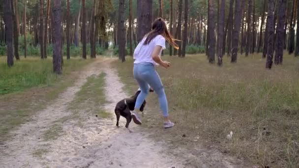 Menina brincando com seu cão na floresta ao pôr do sol. Movimento lento — Vídeo de Stock