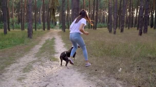 Meisje speelt met haar hond in het bos bij zonsondergang. Slow motion — Stockvideo