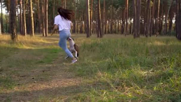 Девушка играет со своей собакой в лесу на закате — стоковое видео
