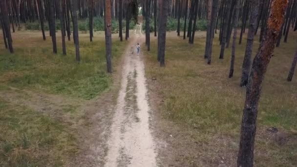 Vista aérea da menina brincando com seu cão na floresta ao pôr do sol — Vídeo de Stock