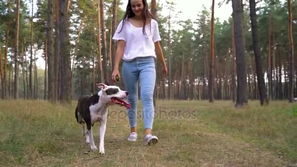 Девушка играет со своей собакой в лесу на закате. Медленное движение — стоковое видео