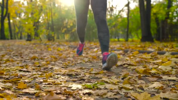 Laufschuhe - Frau bindet Schnürsenkel im Herbstpark bei Sonnenuntergang. . Zeitlupe — Stockvideo