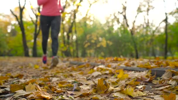 Взуття для бігу жінка зав'язує шнурки в осінньому парку на заході сонця — стокове відео