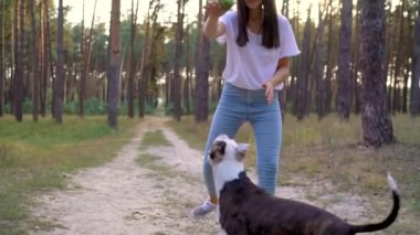 Gün batımında köpeğini ormana oynamaktan kız. Ağır çekim