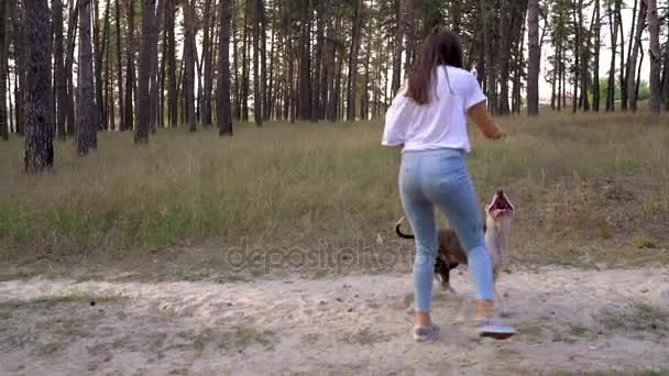 Κορίτσι παίζει με το σκύλο της μέσα στο δάσος κατά το ηλιοβασίλεμα. Αργή κίνηση — Αρχείο Βίντεο