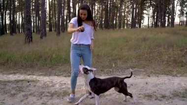 Gün batımında köpeğini ormana oynamaktan kız