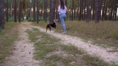 Gün batımında köpeğini ormana oynamaktan kız