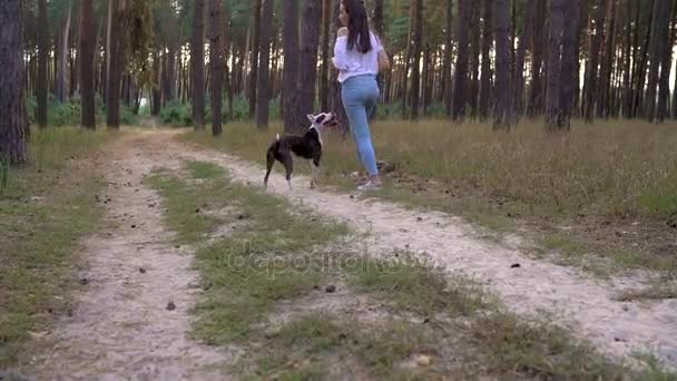 Mädchen spielt bei Sonnenuntergang mit ihrem Hund im Wald — Stockvideo