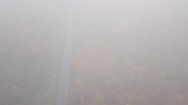 İniş sis sonbahar ormanıyla çevrili yol üzerinde aracılığıyla