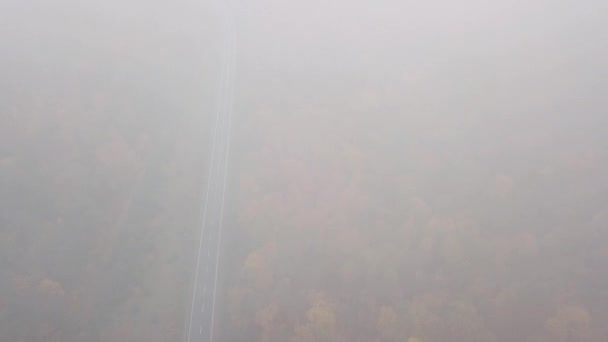 Zejście przez mgłę nad drogą, otoczony przez jesienny Las — Wideo stockowe