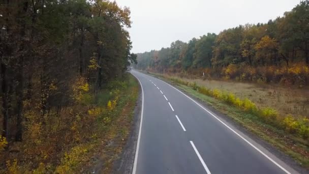 Luchtfoto van de auto op de weg omringd door herfst bos — Stockvideo