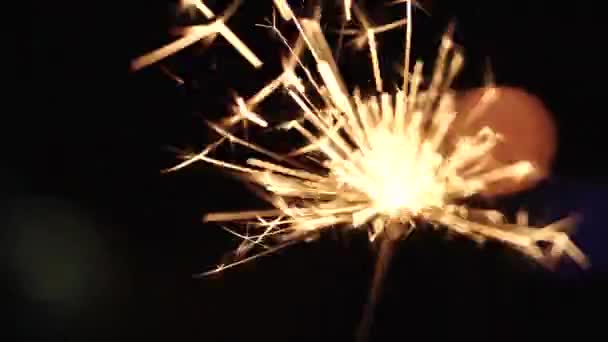 Christmas sparkler burning on a black — Stock Video