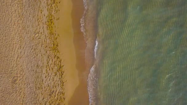 Vista aérea do casal apaixonado andando na praia de mãos dadas — Vídeo de Stock