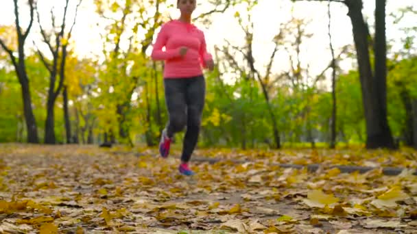 Koşu ayakkabıları - kadın ayakkabı bağcıklarımı sonbahar parkta günbatımında bağlıyor. — Stok video