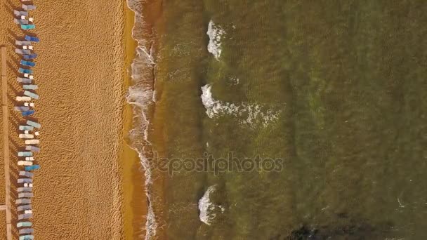 Το Top view από τον ήλιο στην παραλία και κρεβάτια. Την έρημη ακτή του Ιονίου Πελάγους, Ελλάδα, Κέρκυρας — Αρχείο Βίντεο