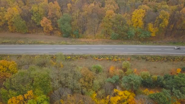 A légi felvétel, autó az úton, őszi erdő veszi körül — Stock videók