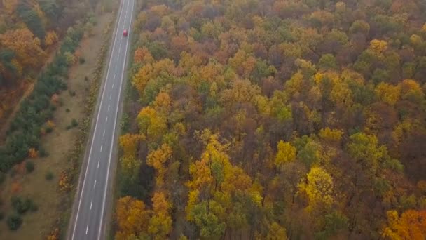 空中观车在被秋林包围的道路上 — 图库视频影像