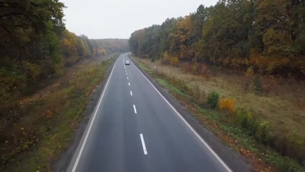 Εναέρια άποψη του αυτοκινήτου στο δρόμο που περιβάλλεται από φθινόπωρο δάσος — Αρχείο Βίντεο